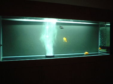 IPB Image