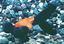 tn_gallery_19_4_10237.jpg