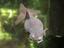 tn_gallery_19_4_16732.jpg