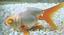 tn_gallery_19_4_3036.jpg