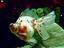 tn_gallery_19_4_67387.jpg