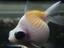 tn_gallery_19_4_8329.jpg