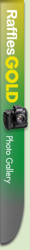 Photo Gallery